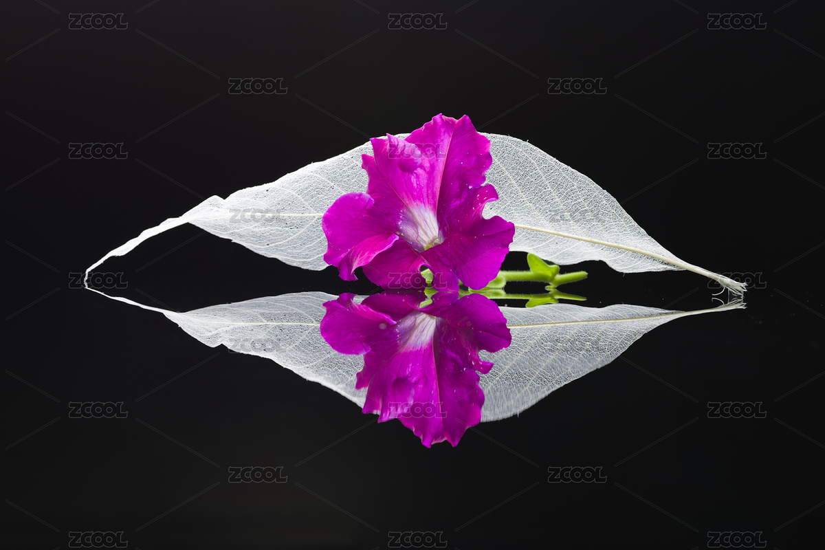 呵護(hù)（主預(yù)覽-2626679） - 未分類 - 站酷設(shè)計(jì)師高高秋月原創(chuàng)素材 - 站酷ZCOOL