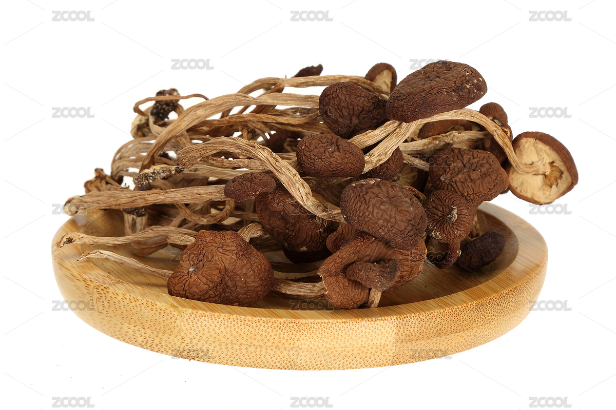 土特產(chǎn)干貨茶樹菇（主預(yù)覽-4097961） - 未分類 - 站酷設(shè)計師萊尚攝影原創(chuàng)素材 - 站酷ZCOOL