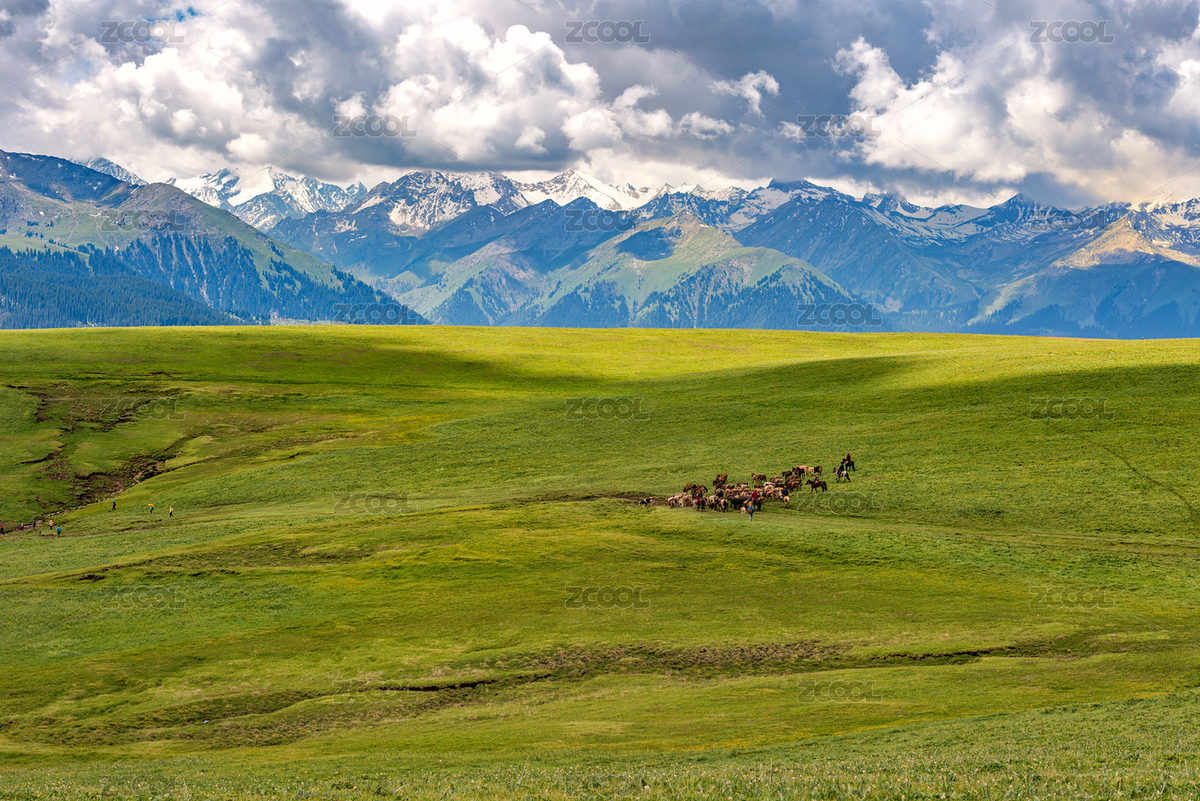 喀拉峻草原（主預(yù)覽-9056985） - 未分類 - 站酷設(shè)計師刀劍knight原創(chuàng)素材 - 站酷ZCOOL