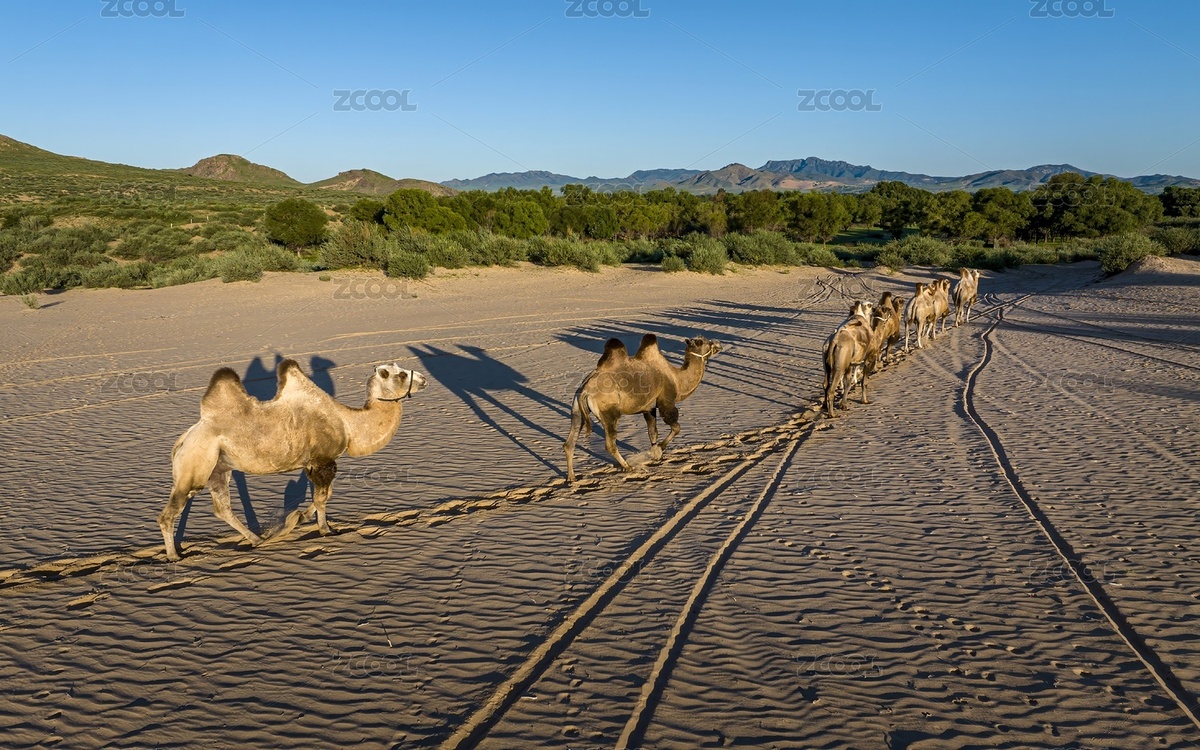 內(nèi)蒙古赤峰翁根毛都沙漠旅游度假村航拍（主預(yù)覽-11102483） - 未分類 - 站酷設(shè)計(jì)師JuikangHsieh原創(chuàng)素材 - 站酷ZCOOL