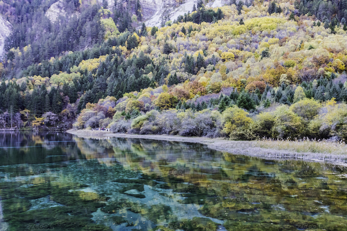 中國四川九寨溝五花海秋季彩林山水風(fēng)光（主預(yù)覽-12402399） - 未分類 - 站酷設(shè)計(jì)師西安大衛(wèi)攝影原創(chuàng)素材 - 站酷ZCOOL