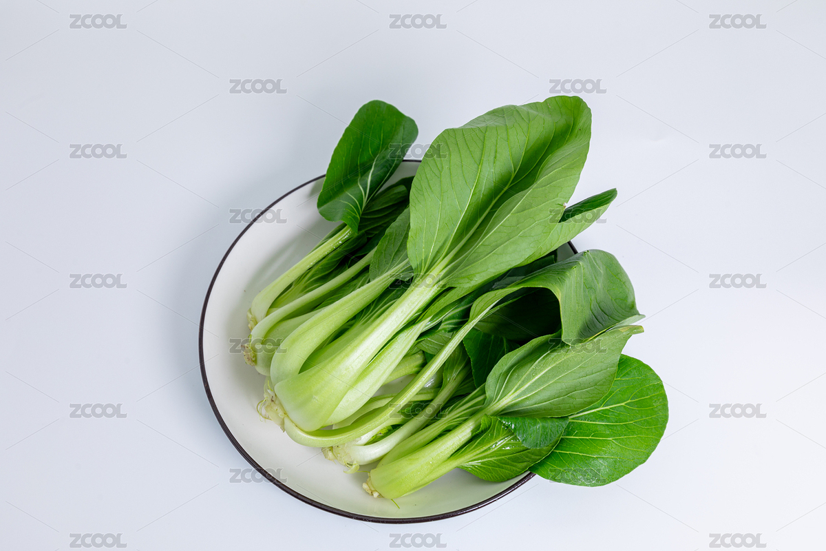 新鮮翠綠的小青菜（主預(yù)覽-12515306） - 未分類 - 站酷設(shè)計師soushou原創(chuàng)素材 - 站酷ZCOOL