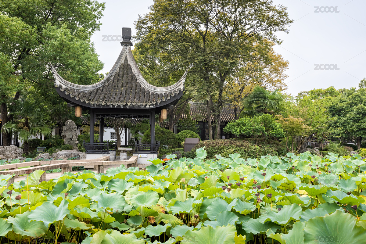 蘇州木瀆古鎮(zhèn)虹飲山房荷塘涼亭建筑景觀（主預(yù)覽-9519411） - 未分類 - 站酷設(shè)計師秋影隨風(fēng)原創(chuàng)素材 - 站酷ZCOOL