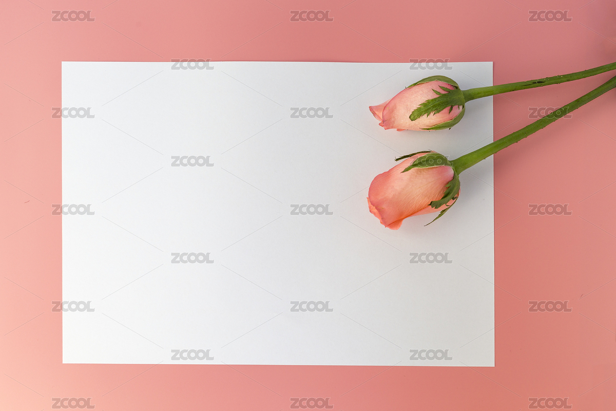 四季彩色空白留言卡片（主预览-1360054） - 未分类 - 站酷设计师玖菇莨原创素材 - 站酷ZCOOL