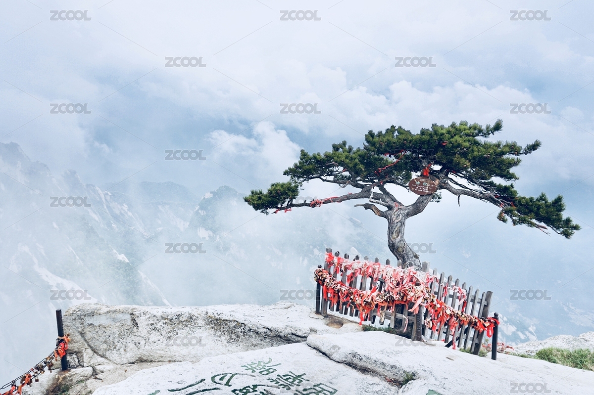 陜西省西安市華山西峰頂近看屹立于云海的羅漢松（主預(yù)覽-3722402） - 未分類 - 站酷設(shè)計師TiianP原創(chuàng)素材 - 站酷ZCOOL