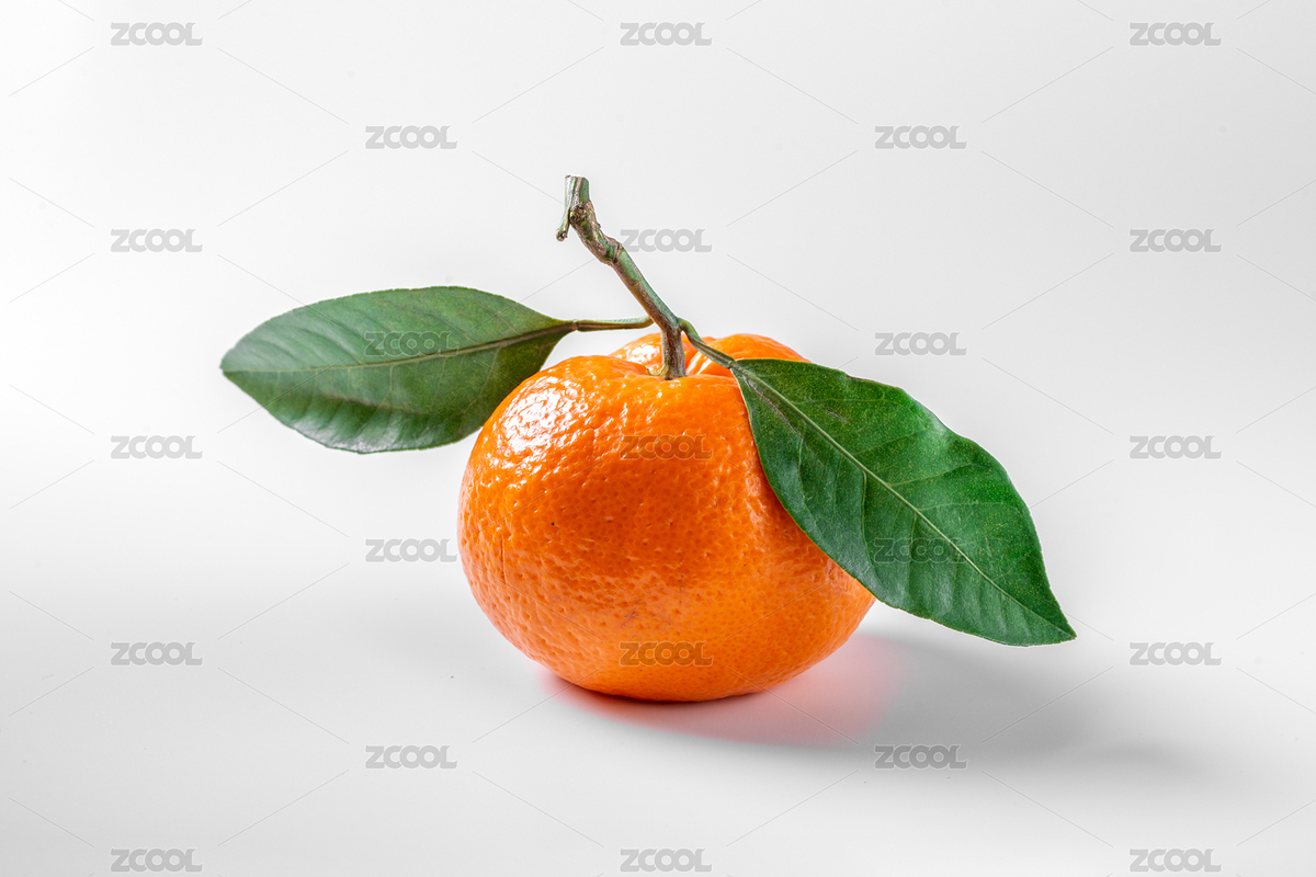 新鮮美味又健康好吃多汁的柑橘果實（主預覽-3345631） - 未分類 - 站酷設計師靠譜的小揚原創(chuàng)素材 - 站酷ZCOOL