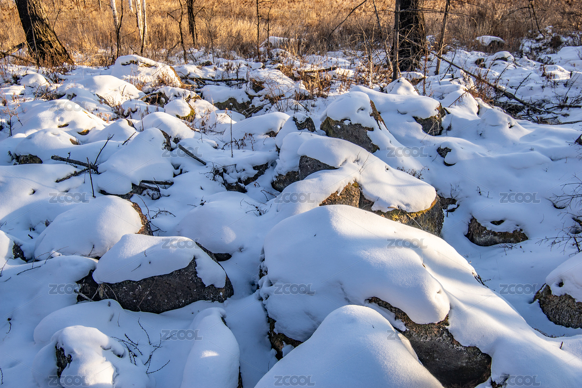 中國黑龍江森林公園冬季黃昏景色（主預(yù)覽-7347070） - 未分類 - 站酷設(shè)計(jì)師AdolescentChat原創(chuàng)素材 - 站酷ZCOOL