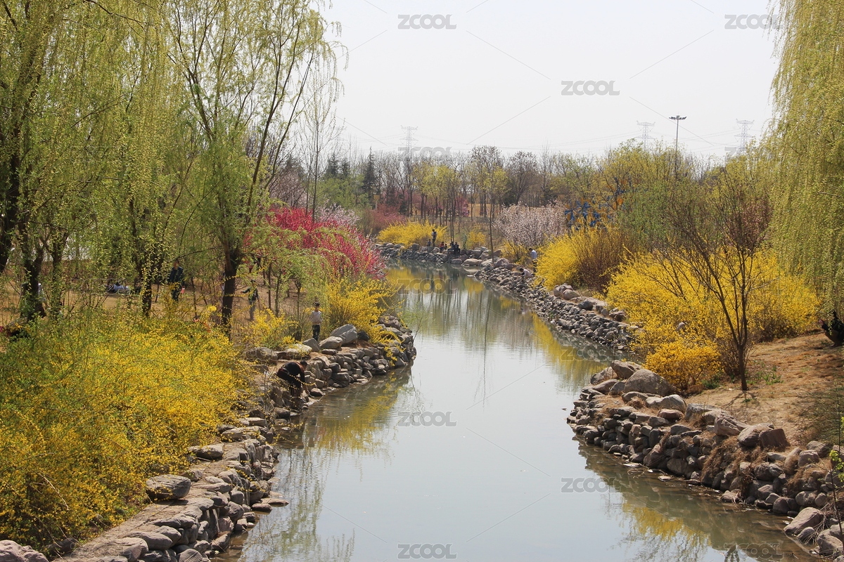 河畔垂柳（主預(yù)覽-6810002） - 未分類 - 站酷設(shè)計師wangningtuhua原創(chuàng)素材 - 站酷ZCOOL