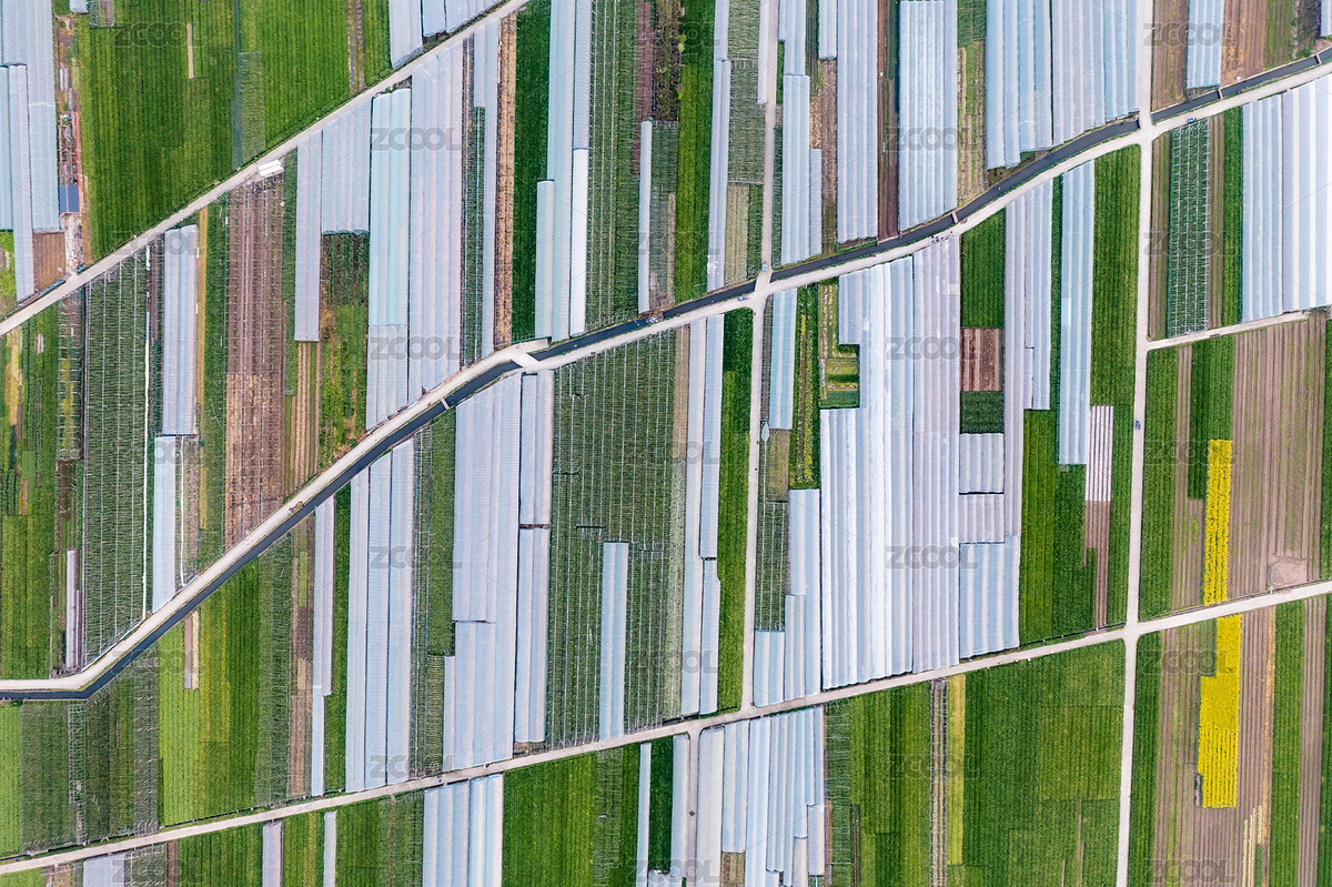 大型蔬菜種植基地（主預(yù)覽-3523300） - 未分類 - 站酷設(shè)計師inthinking原創(chuàng)素材 - 站酷ZCOOL