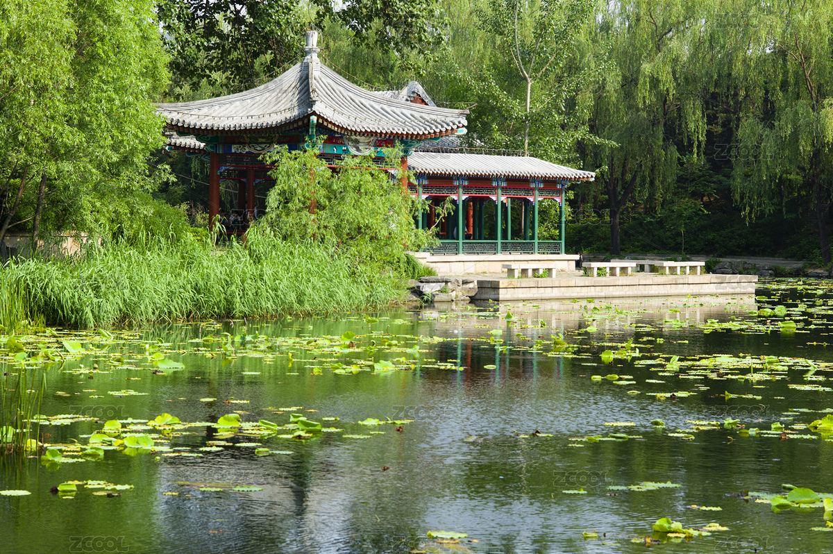 北京市，清華大學(xué)校園風(fēng)光（主預(yù)覽-1239694） - 未分類(lèi) - 站酷設(shè)計(jì)師hbsjzyjh原創(chuàng)素材 - 站酷ZCOOL