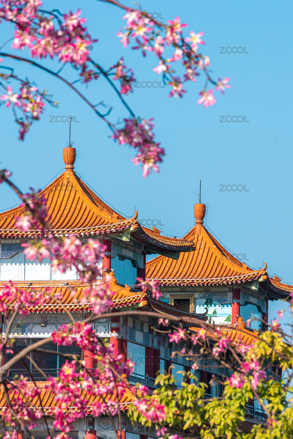 異木棉與珠海名亭樓得月坊（主預(yù)覽-2747572） - 未分類 - 站酷設(shè)計師陳爍明原創(chuàng)素材 - 站酷ZCOOL