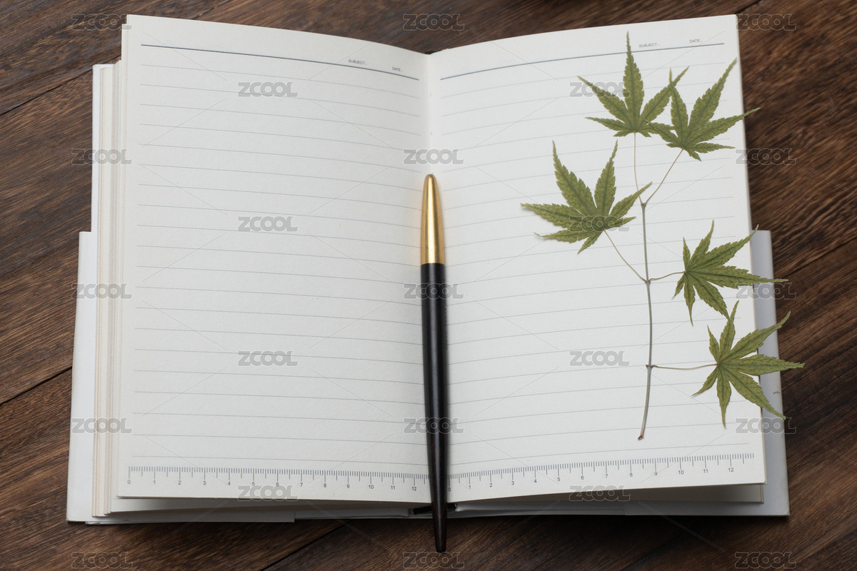 木桌上擺放著打開的日記本和一支筆一株綠植（主預(yù)覽-3481448） - 未分類 - 站酷設(shè)計(jì)師juntone77原創(chuàng)素材 - 站酷ZCOOL