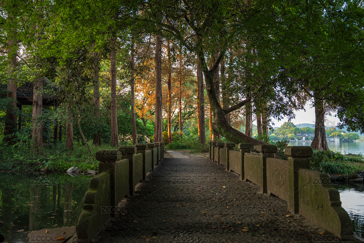 杭州西湖名勝風(fēng)景區(qū)-楊公堤（主預(yù)覽-12123109） - 未分類 - 站酷設(shè)計師F8cus原創(chuàng)素材 - 站酷ZCOOL