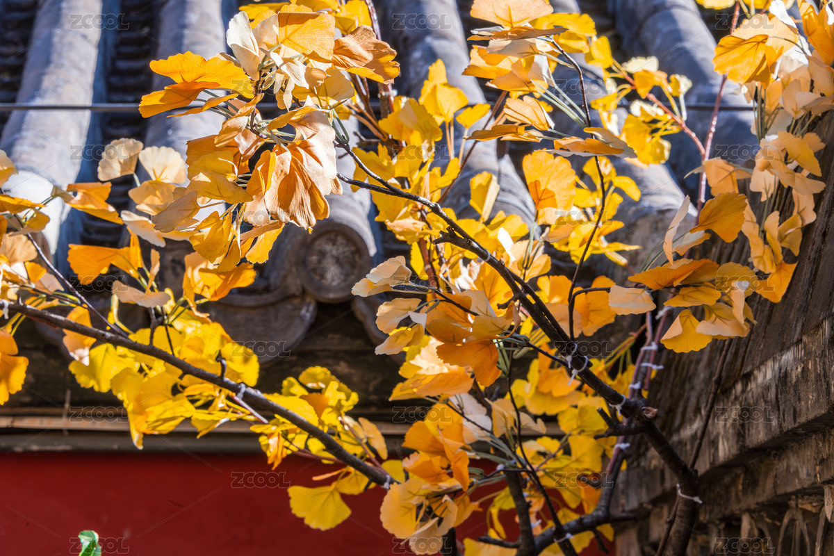 中國北京潭柘寺秋季風光（主預覽-12381323） - 未分類 - 站酷設計師陳喆風光攝影原創(chuàng)素材 - 站酷ZCOOL