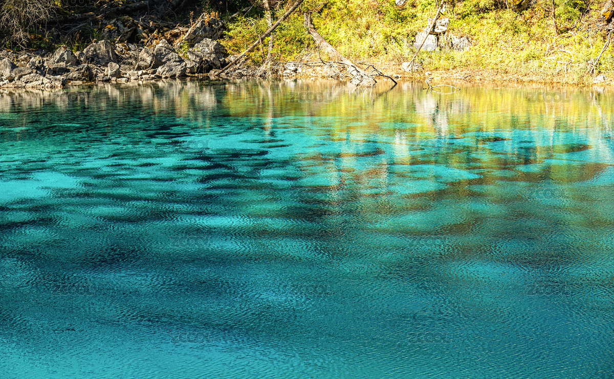 中国四川省阿坝州九寨沟五彩池（主预览-9543295） - 未分类 - 站酷设计师Ancherfont原创素材 - 站酷ZCOOL