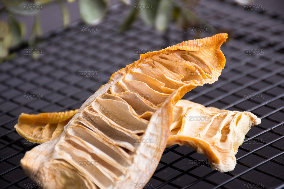 放在鐵絲網(wǎng)上的兩片竹筍干（主預(yù)覽-6756427） - 未分類 - 站酷設(shè)計(jì)師鐵棍山藥芝麻片原創(chuàng)素材 - 站酷ZCOOL