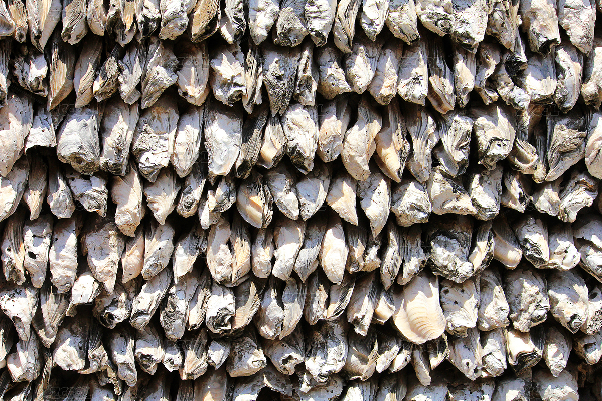 一面廣州嶺南蠔殼墻（主預(yù)覽-5709529） - 未分類 - 站酷設(shè)計師WUWUDEFENSI原創(chuàng)素材 - 站酷ZCOOL