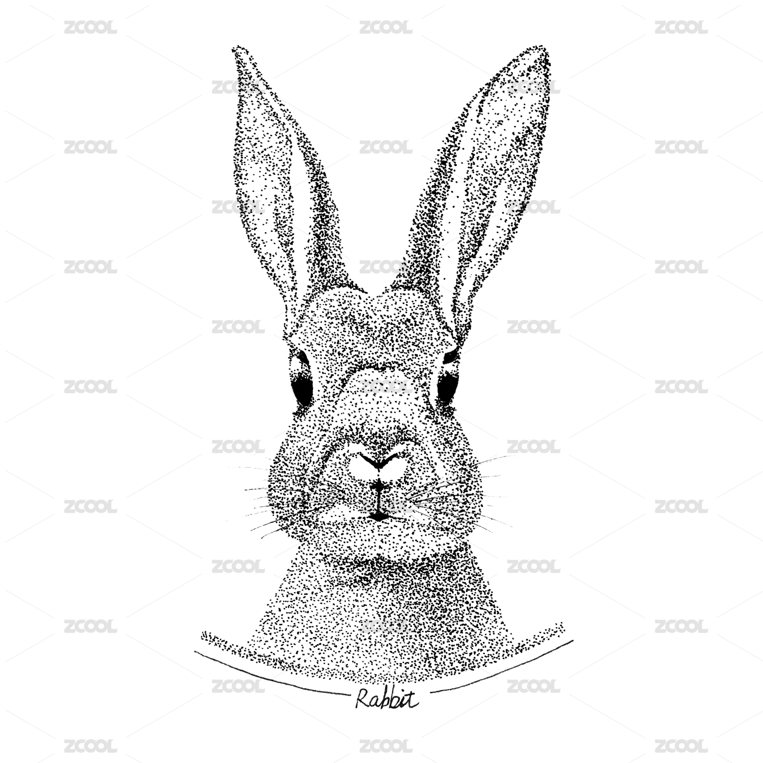 Animal illustration-rabbit