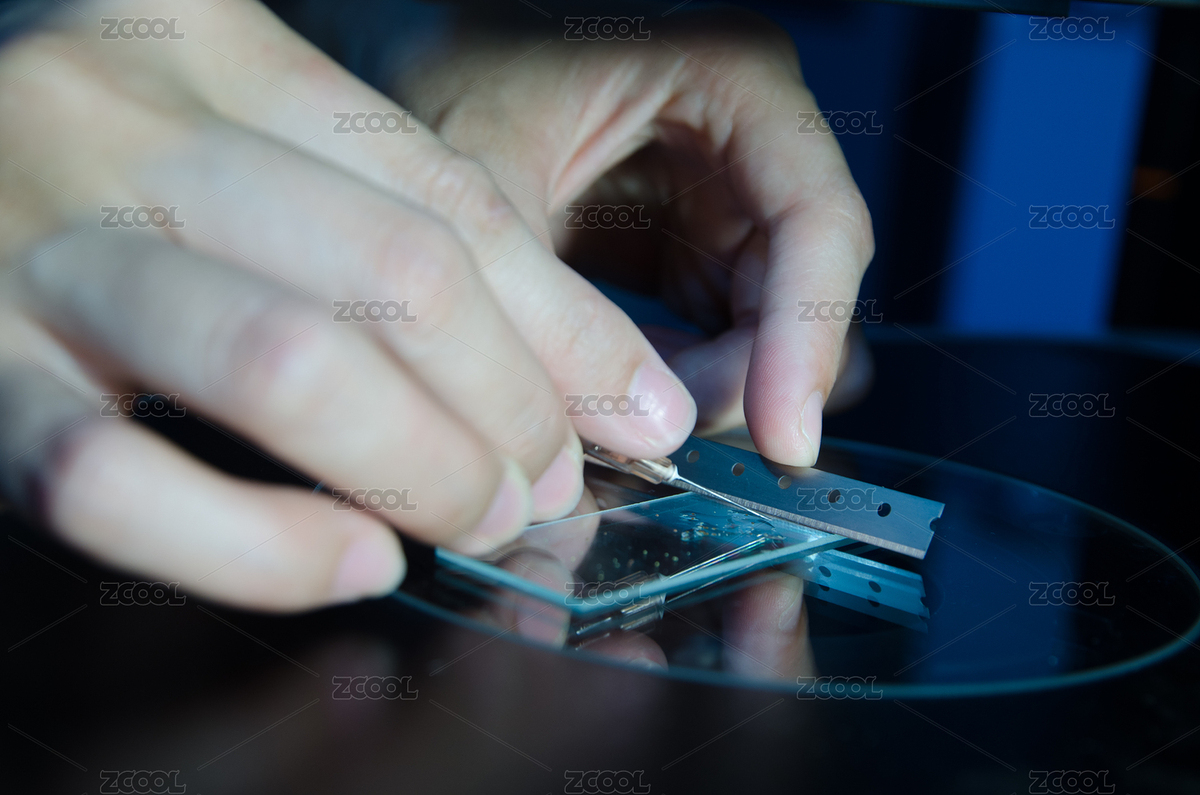 科學實驗生物技術，科學家解剖顯微鏡下的花粉（主預覽-2525260） - 未分類 - 站酷設計師pansfun原創(chuàng)素材 - 站酷ZCOOL