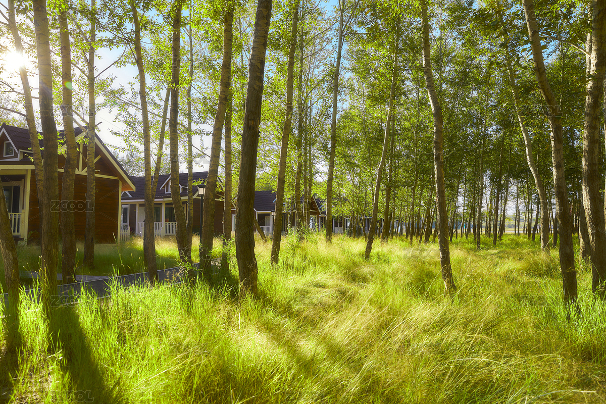 河北沽源庫倫淖而旅游度假村別墅區(qū)森林草地（主預(yù)覽-4133894） - 未分類 - 站酷設(shè)計(jì)師藍(lán)太陽TNT原創(chuàng)素材 - 站酷ZCOOL