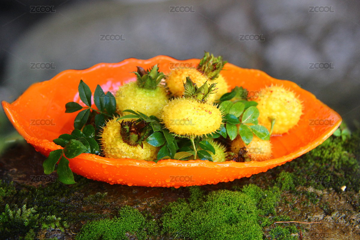 盤子里的刺梨果（主預(yù)覽-9013473） - 未分類 - 站酷設(shè)計(jì)師wrx808原創(chuàng)素材 - 站酷ZCOOL