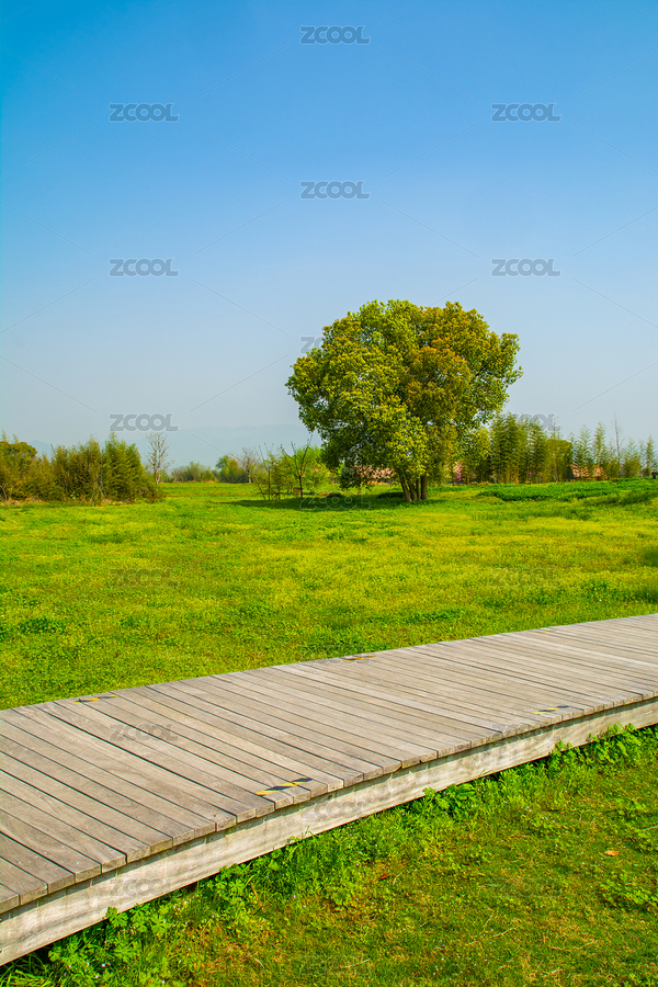 中國(guó)浙江杭州良渚古城遺址公園（主預(yù)覽-7117133） - 未分類 - 站酷設(shè)計(jì)師等風(fēng)幾許原創(chuàng)素材 - 站酷ZCOOL