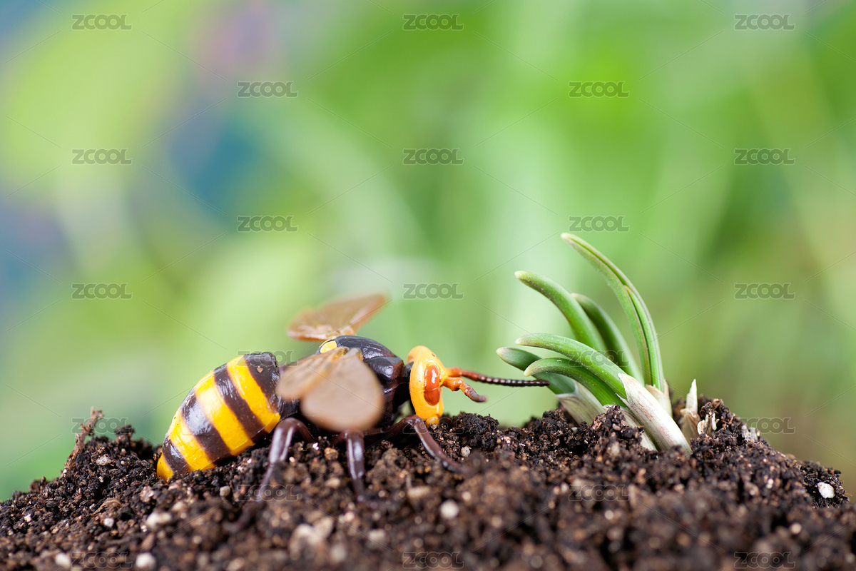 冬眠蘇醒的大黃蜂（主預(yù)覽-6861797） - 未分類 - 站酷設(shè)計(jì)師小羽怪原創(chuàng)素材 - 站酷ZCOOL