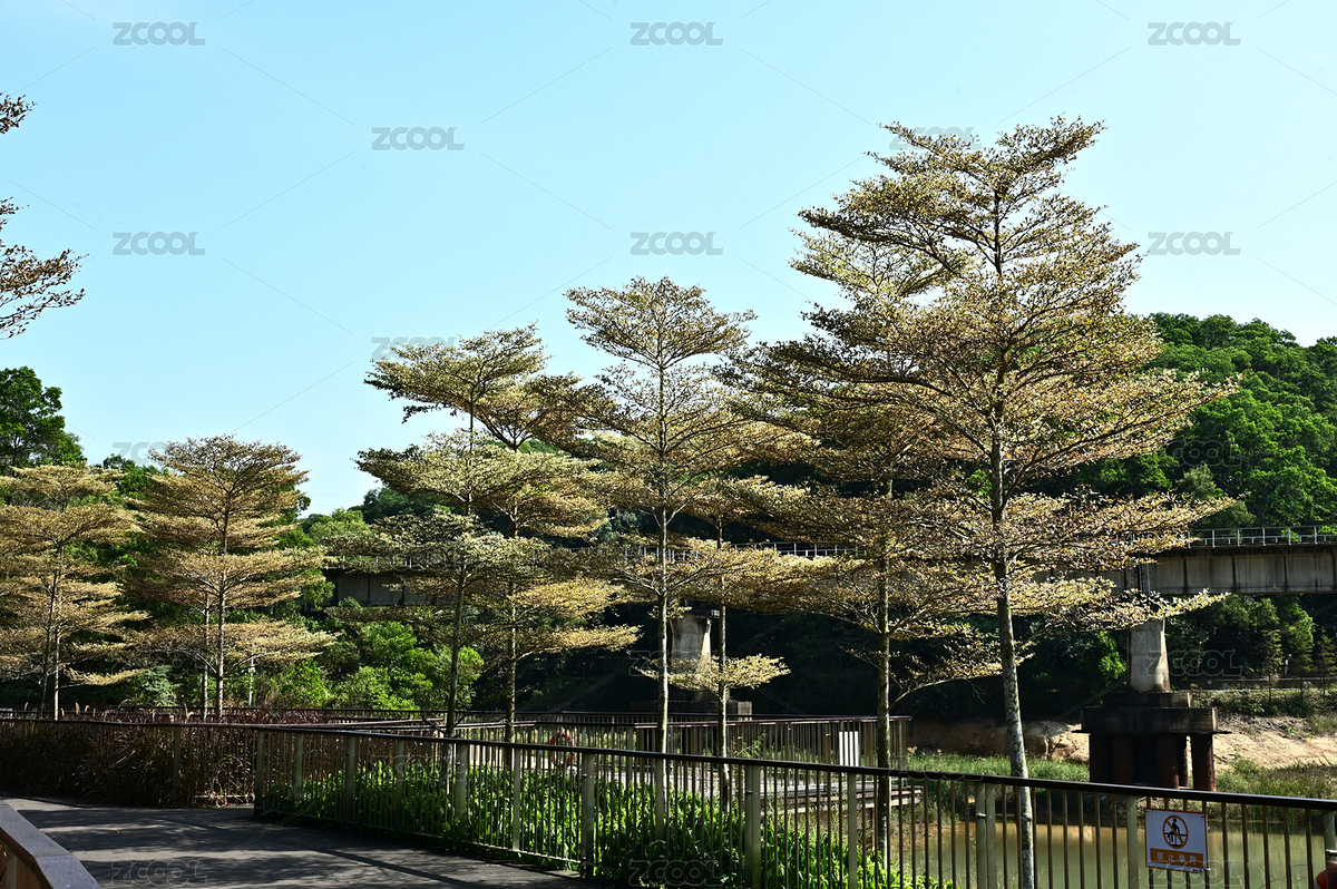 深圳雪竹徑公園自然景觀（主預覽-1259382） - 未分類 - 站酷設計師群之輝視覺原創(chuàng)素材 - 站酷ZCOOL