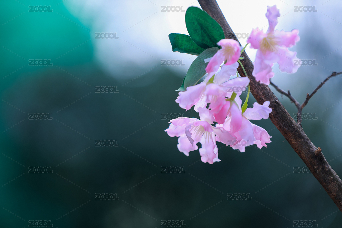 枝頭上的淡粉假花（主預(yù)覽-11488689） - 未分類 - 站酷設(shè)計(jì)師KM無線原創(chuàng)素材 - 站酷ZCOOL