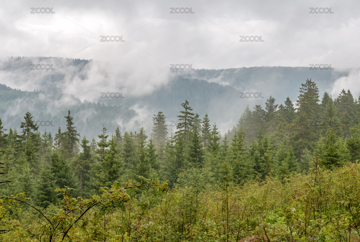 德國巴登-符騰堡州黑森林（主預覽-6803497） - 未分類 - 站酷設(shè)計師HZDhdz原創(chuàng)素材 - 站酷ZCOOL