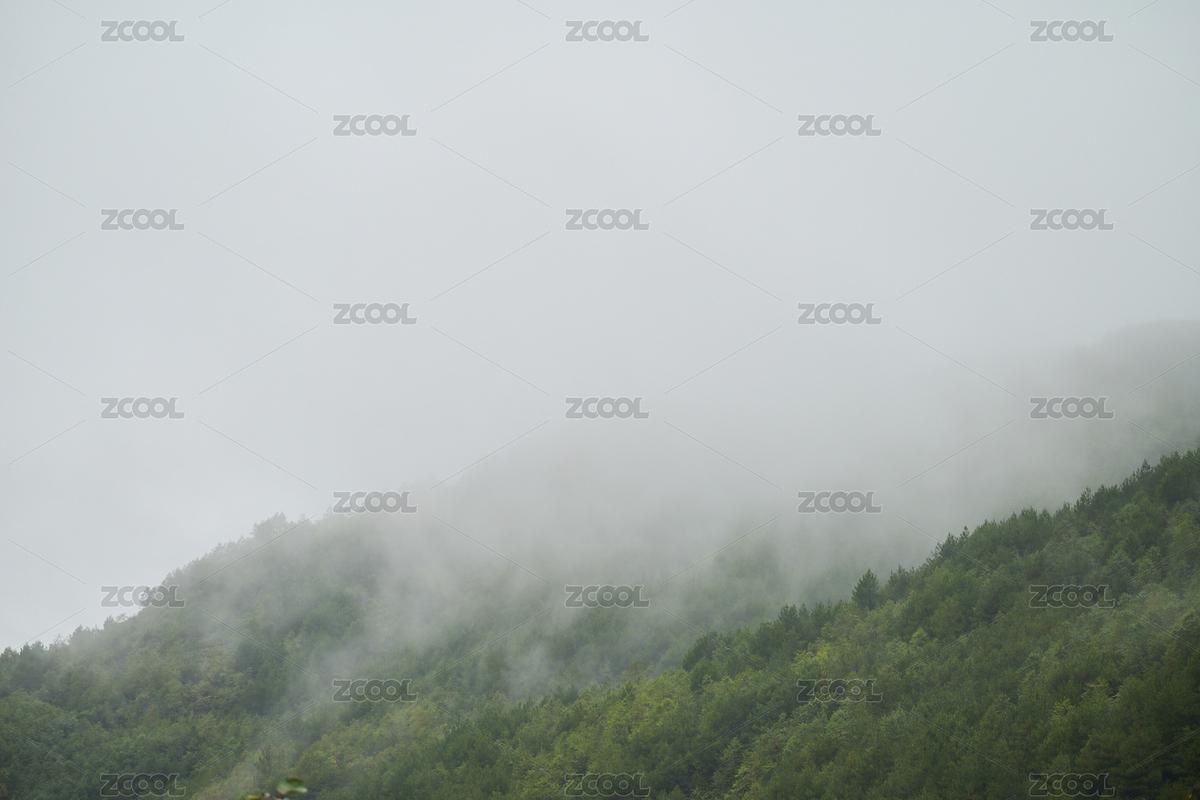 迷霧籠罩著的綠色森林（主預(yù)覽-2644797） - 未分類 - 站酷設(shè)計(jì)師enzo.kin原創(chuàng)素材 - 站酷ZCOOL