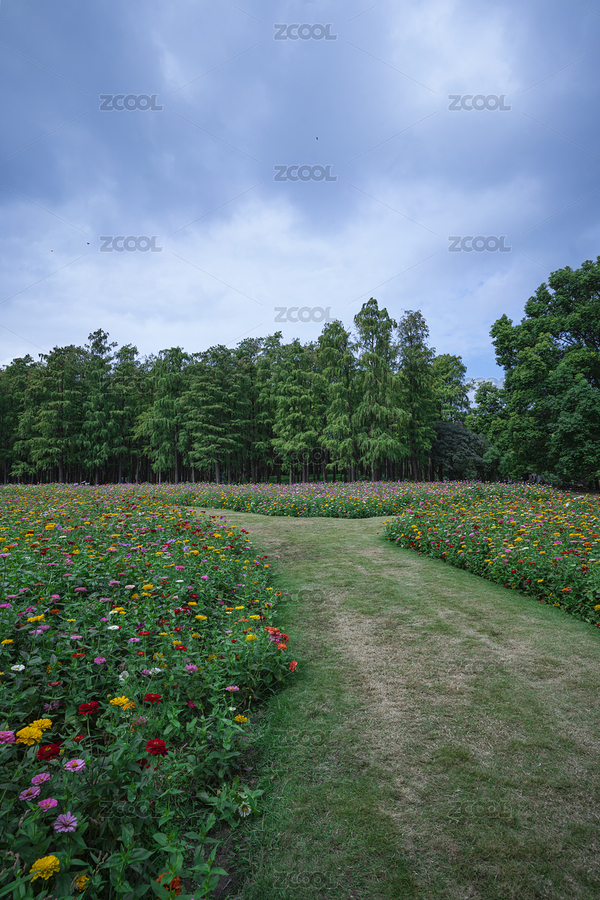 城市公園花海森林風(fēng)景（主預(yù)覽-8006364） - 未分類 - 站酷設(shè)計師葭葦4099原創(chuàng)素材 - 站酷ZCOOL