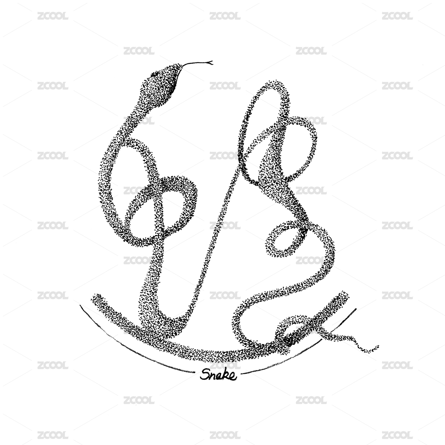 Animal illustration-snake