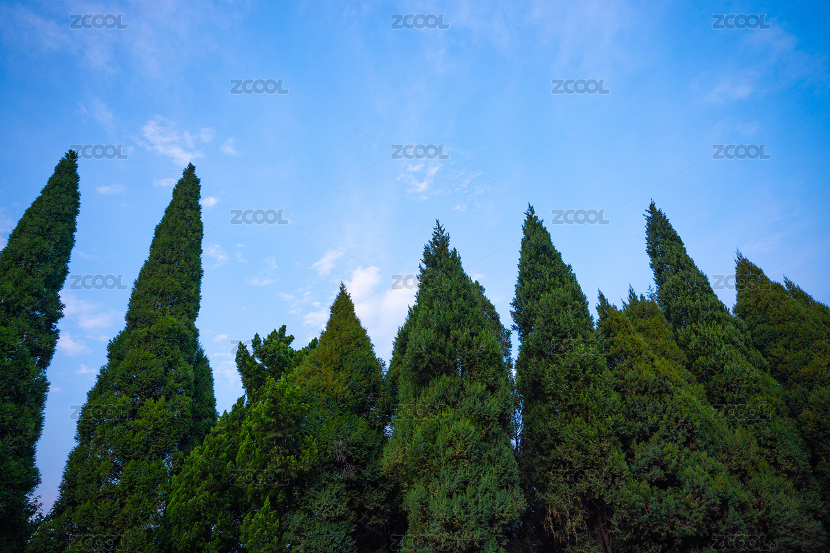 藍天下的綠巨人（主預(yù)覽-2497117） - 未分類 - 站酷設(shè)計師祺紀旅行原創(chuàng)素材 - 站酷ZCOOL