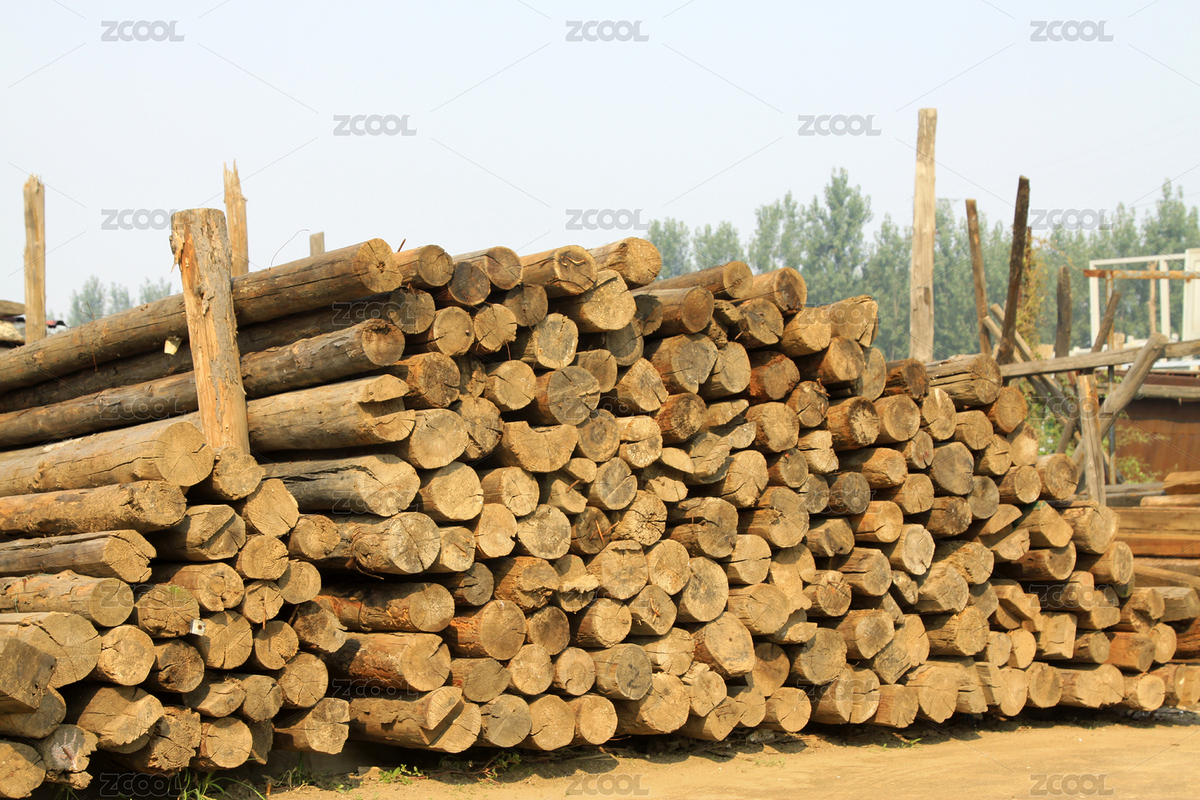 堆放整齊的原木堆（主預(yù)覽-12220142） - 未分類 - 站酷設(shè)計師liujunrong原創(chuàng)素材 - 站酷ZCOOL