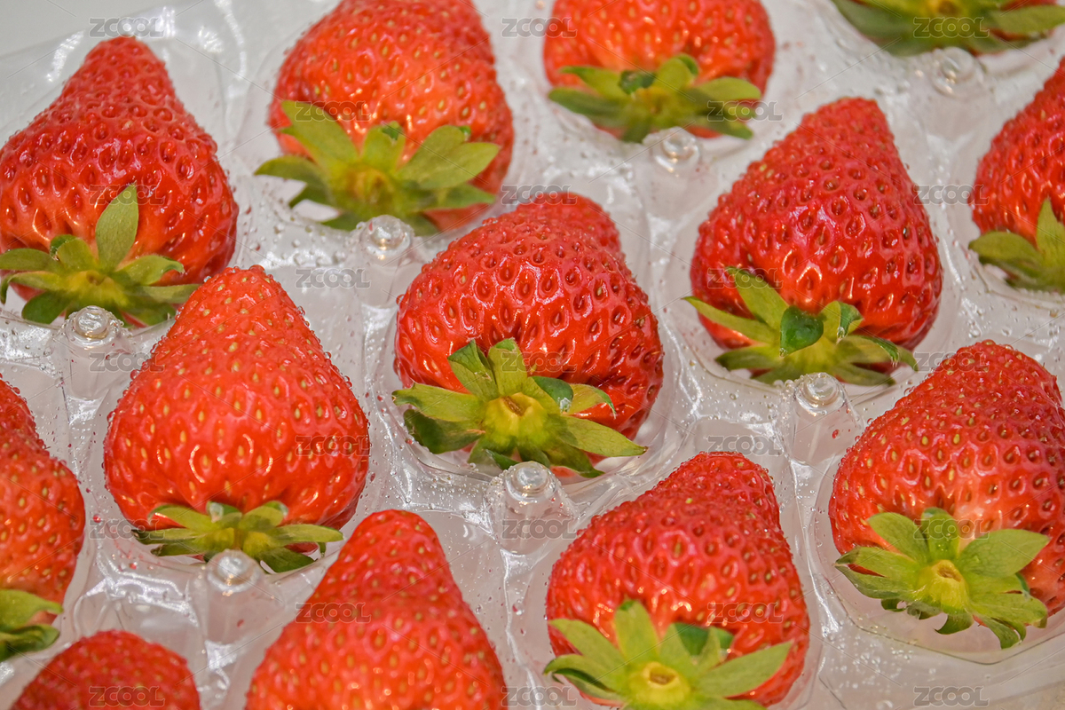 新鮮水果正宗丹東草莓紅顏品種（主預覽-12617866） - 未分類 - 站酷設計師夢逍遙168原創(chuàng)素材 - 站酷ZCOOL