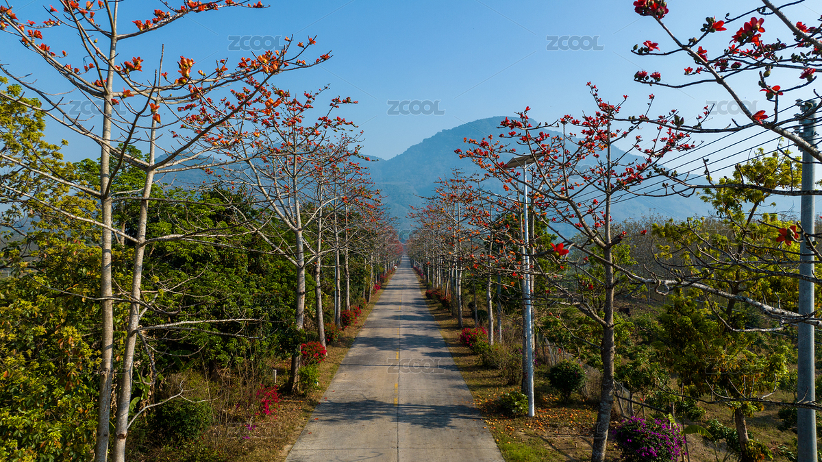 海南昌江黎族自治縣七叉鎮(zhèn)美麗公路 木棉花（主預(yù)覽-253034） - 未分類 - 站酷設(shè)計(jì)師Z26302855原創(chuàng)素材 - 站酷ZCOOL