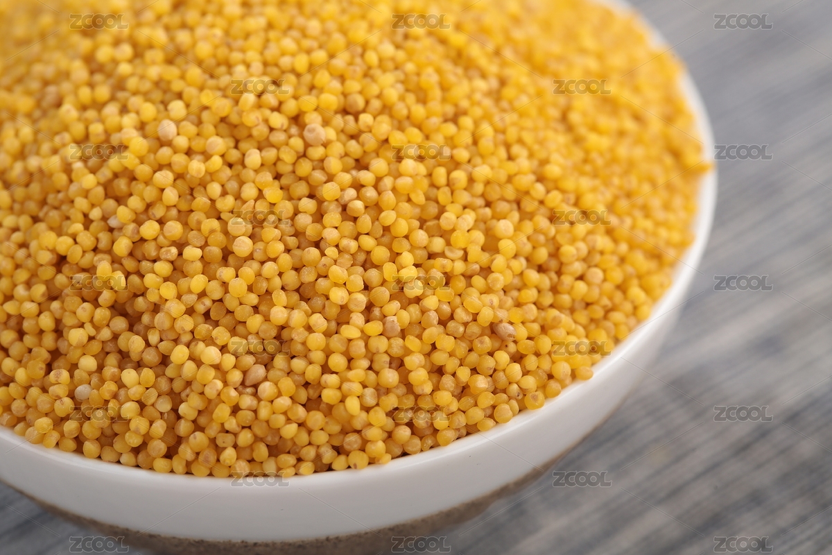 健康食材小米（主預(yù)覽-7487155） - 未分類 - 站酷設(shè)計(jì)師光影記攝影工作室原創(chuàng)素材 - 站酷ZCOOL