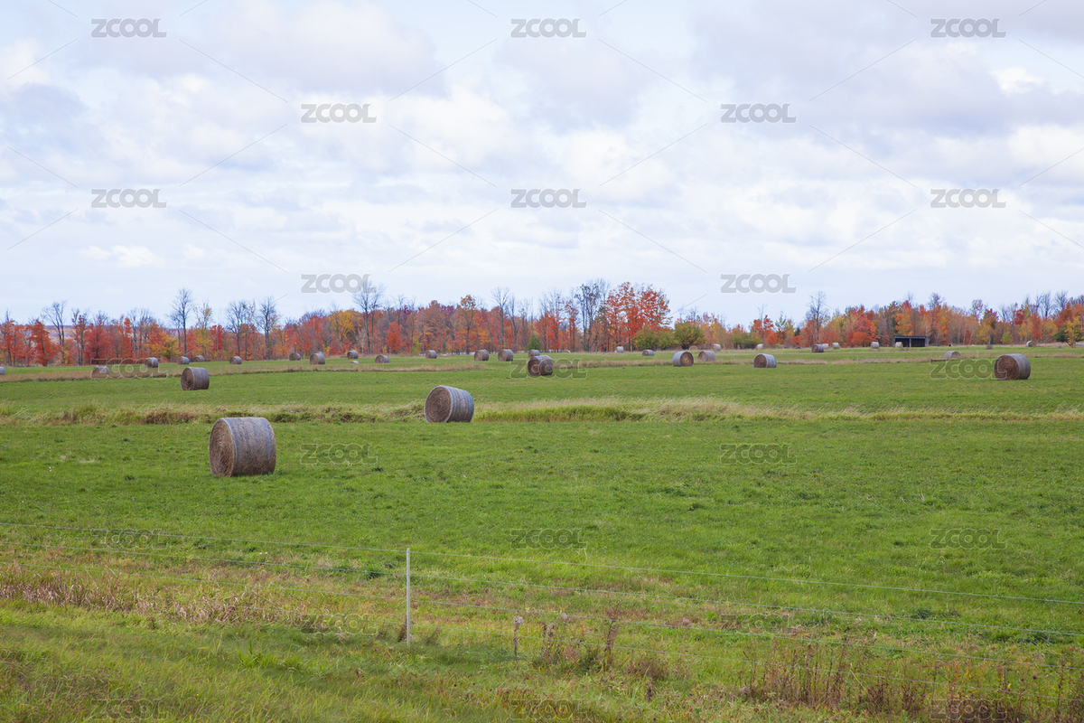 農(nóng)場（主預(yù)覽-3477190） - 未分類 - 站酷設(shè)計(jì)師BenDesign原創(chuàng)素材 - 站酷ZCOOL