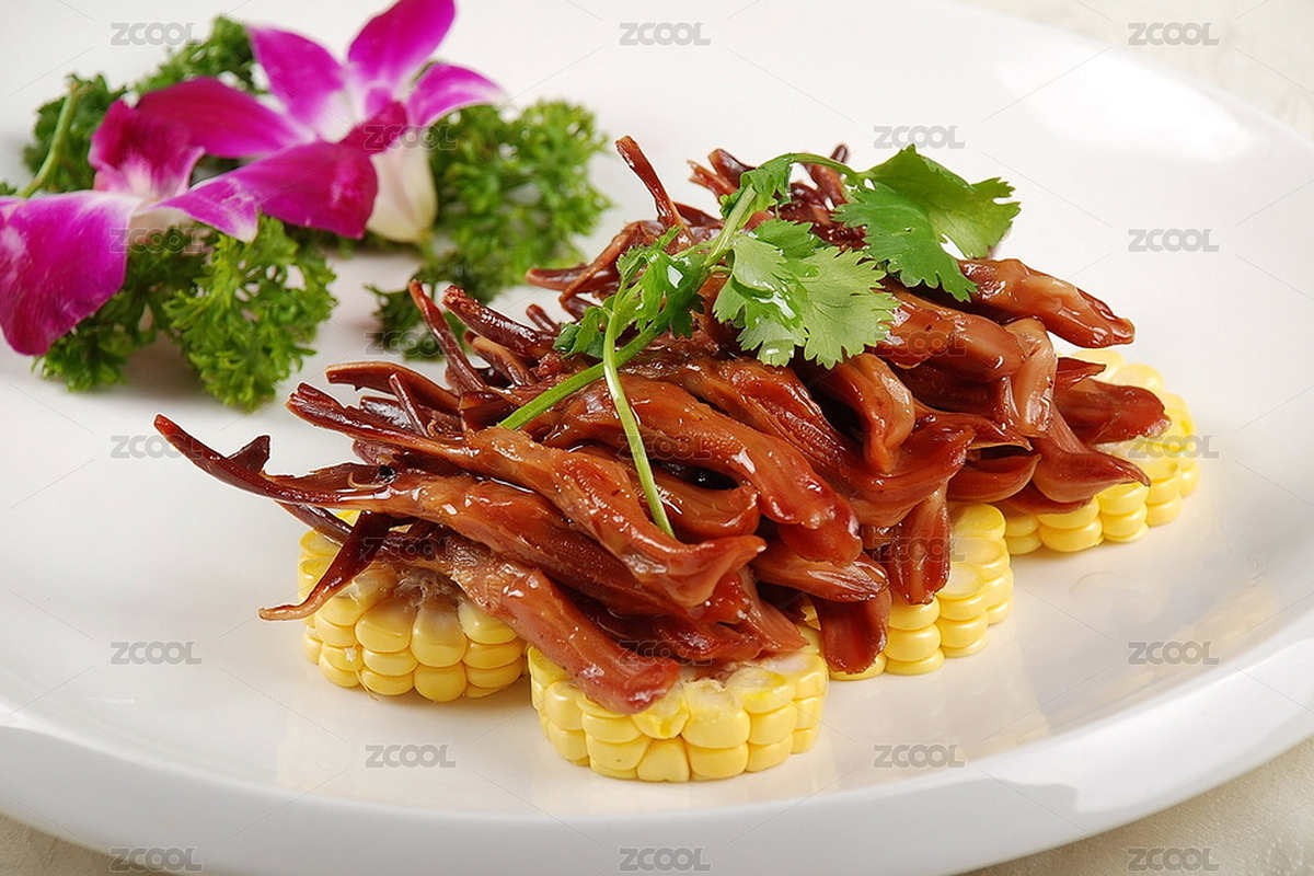 一盘玉笋蒸鸭莉（主预览-8526535） - 未分类 - 站酷设计师行走太空的猫原创素材 - 站酷ZCOOL