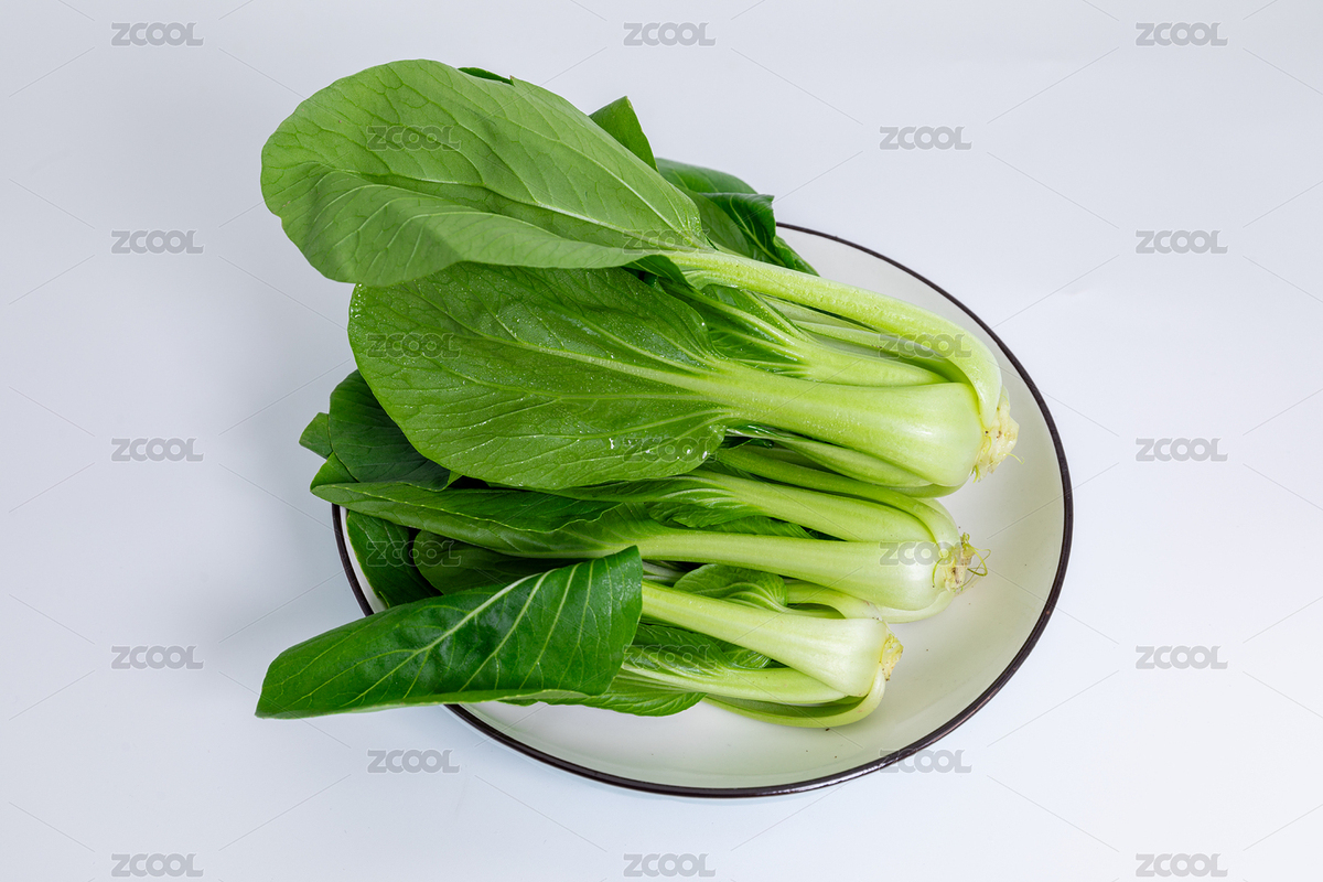 新鮮翠綠的小青菜（主預(yù)覽-12515309） - 未分類 - 站酷設(shè)計(jì)師soushou原創(chuàng)素材 - 站酷ZCOOL