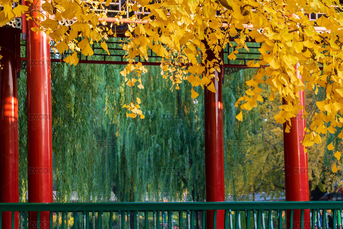 中國(guó)北京中山公園秋季風(fēng)光（主預(yù)覽-12381467） - 未分類 - 站酷設(shè)計(jì)師陳喆風(fēng)光攝影原創(chuàng)素材 - 站酷ZCOOL