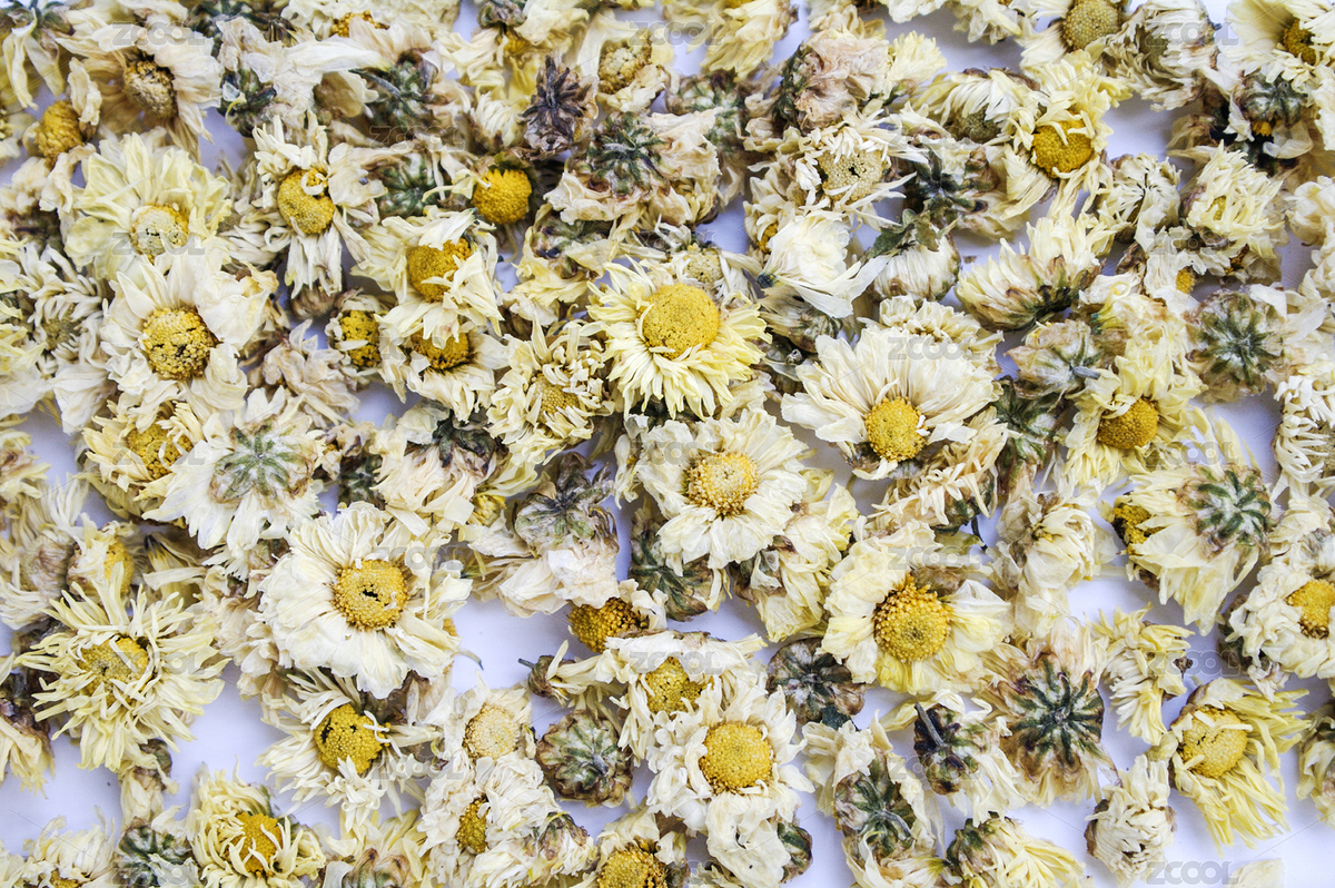 菊花茶（主預(yù)覽-5548962） - 未分類 - 站酷設(shè)計(jì)師wmei5881原創(chuàng)素材 - 站酷ZCOOL