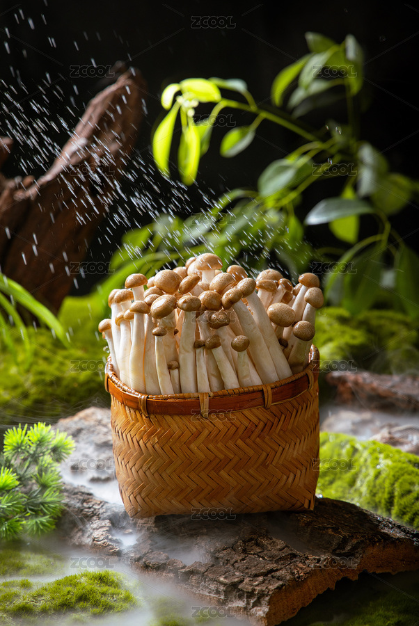 綠色生態(tài)森系山野風(fēng)蟹味菇灑水煙霧（主預(yù)覽-10730323） - 未分類 - 站酷設(shè)計(jì)師涼開水01原創(chuàng)素材 - 站酷ZCOOL