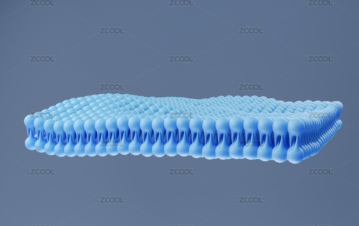 醫(yī)學科研微觀視覺下磷脂雙分子層結構示意圖（主預覽-7649595） - 未分類 - 站酷設計師imve原創(chuàng)素材 - 站酷ZCOOL