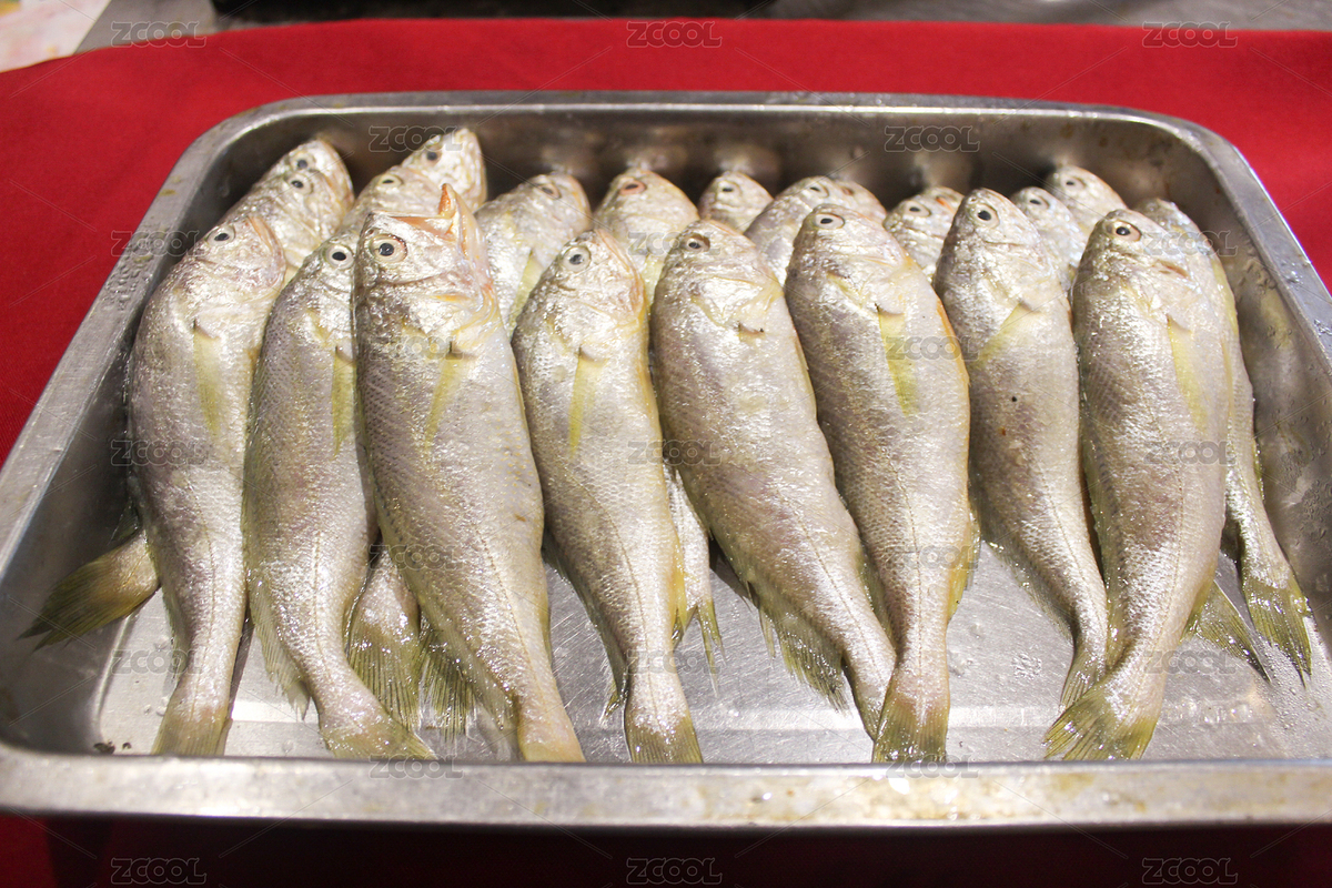 黃魚（主預覽-6782794） - 未分類 - 站酷設計師xuzhengfang原創(chuàng)素材 - 站酷ZCOOL