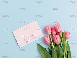 【女神节】精选素材