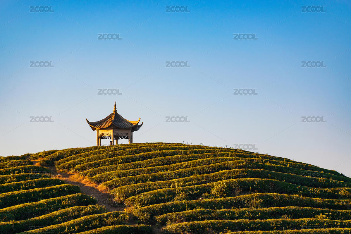 中國浙江寧波金山頂望海亭山頂茶園涼亭景觀（主預(yù)覽-5029664） - 未分類 - 站酷設(shè)計(jì)師90后kid原創(chuàng)素材 - 站酷ZCOOL