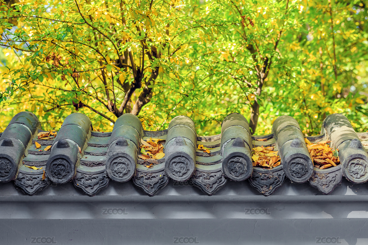 中式園林灰瓦墻墻頭外的秋色（主預覽-4803952） - 未分類 - 站酷設計師秋影隨風原創(chuàng)素材 - 站酷ZCOOL