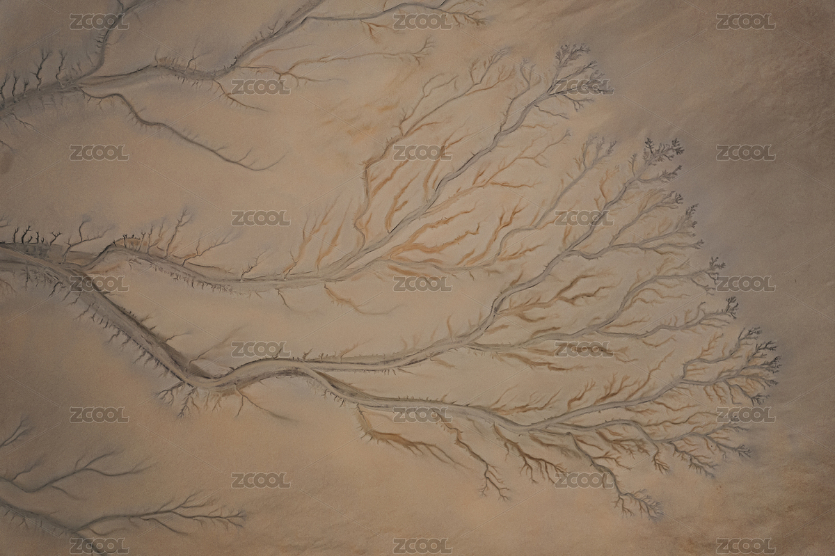 杭州錢(qián)塘江大潮褪去后遺留的潮汐樹(shù)（主預(yù)覽-5687372） - 未分類 - 站酷設(shè)計(jì)師遠(yuǎn)在南方QAQ原創(chuàng)素材 - 站酷ZCOOL